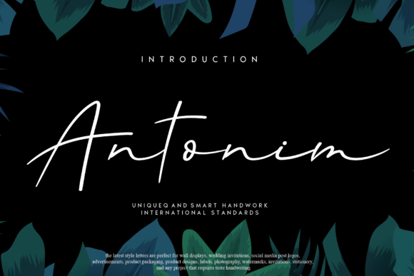 Antonim: A Delicate Handwritten Font for Branding Projects
