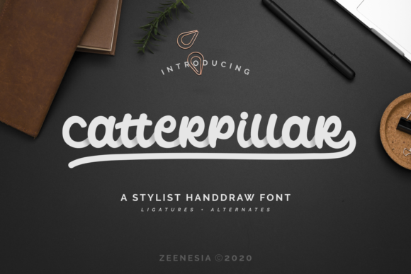 Catterpillar Font Review for Branding Projects