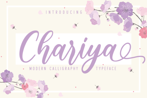Chariya Font for Eye-Catching Brand Content