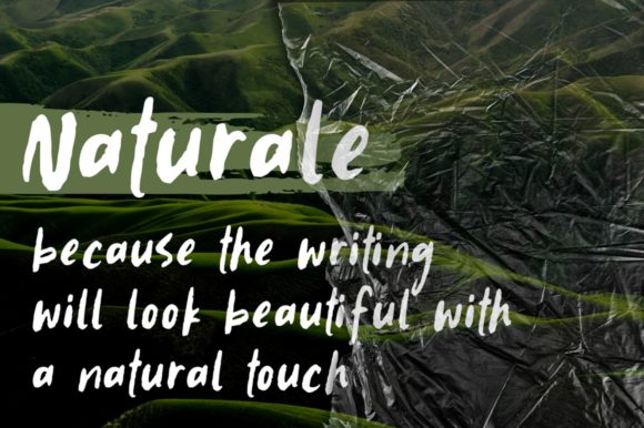 Naturale Font for Modern Branding and Design