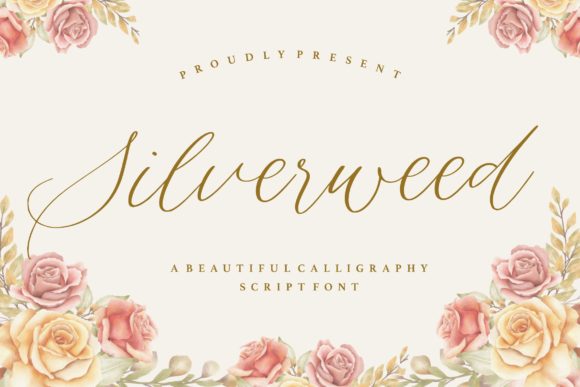 Silverweed Script Font Review