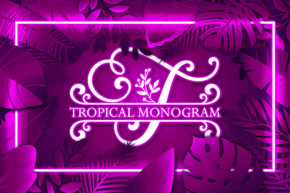 Tropical Monogram Font Review for Real Projects